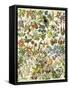 Tropical and Exotic Flowers, Including Orchid, Anthurium, Gloxinia, Trillium-null-Framed Stretched Canvas