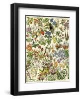 Tropical and Exotic Flowers, Including Orchid, Anthurium, Gloxinia, Trillium-null-Framed Premium Giclee Print