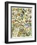 Tropical and Exotic Flowers, Including Orchid, Anthurium, Gloxinia, Trillium-null-Framed Premium Giclee Print