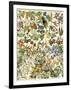 Tropical and Exotic Flowers, Including Orchid, Anthurium, Gloxinia, Trillium-null-Framed Giclee Print