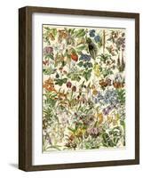 Tropical and Exotic Flowers, Including Orchid, Anthurium, Gloxinia, Trillium-null-Framed Giclee Print