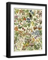 Tropical and Exotic Flowers, Including Orchid, Anthurium, Gloxinia, Trillium-null-Framed Giclee Print