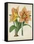 Tropical Array I-Horto Van Houtteano-Framed Stretched Canvas