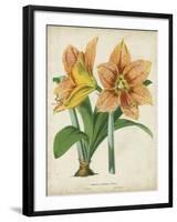 Tropical Array I-Horto Van Houtteano-Framed Art Print