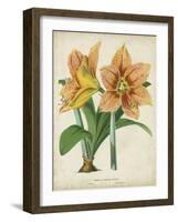 Tropical Array I-Horto Van Houtteano-Framed Art Print