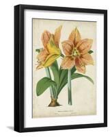 Tropical Array I-Horto Van Houtteano-Framed Art Print