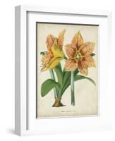 Tropical Array I-Horto Van Houtteano-Framed Art Print