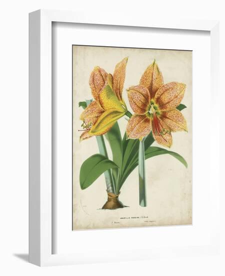 Tropical Array I-Horto Van Houtteano-Framed Art Print