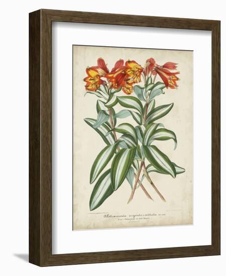 Tropical Array III-Horto Van Houtteano-Framed Art Print