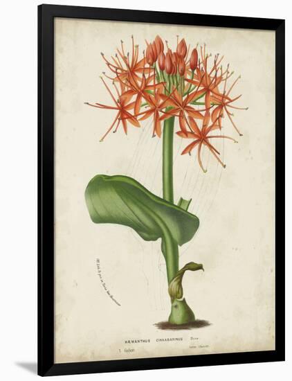 Tropical Array V-Horto Van Houtteano-Framed Art Print