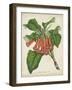 Tropical Array VI-Horto Van Houtteano-Framed Art Print