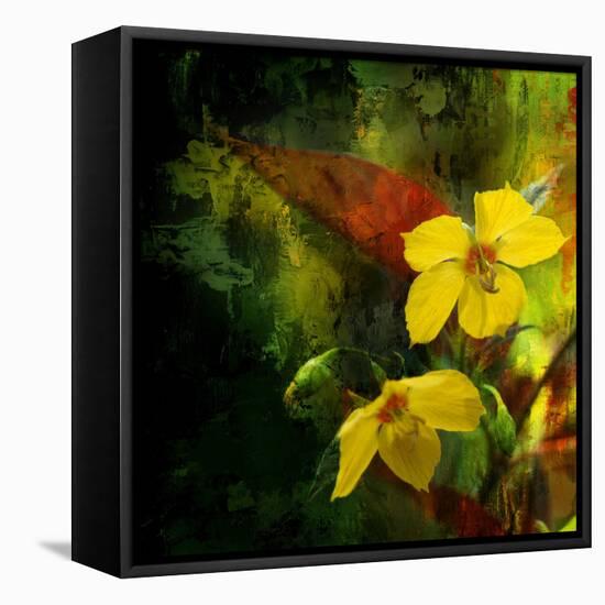 Tropical Ascent-Philippe Sainte-Laudy-Framed Stretched Canvas