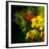 Tropical Ascent-Philippe Sainte-Laudy-Framed Premium Photographic Print