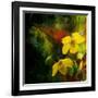 Tropical Ascent-Philippe Sainte-Laudy-Framed Premium Photographic Print