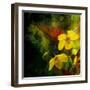 Tropical Ascent-Philippe Sainte-Laudy-Framed Photographic Print