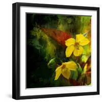 Tropical Ascent-Philippe Sainte-Laudy-Framed Photographic Print