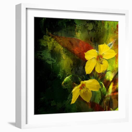 Tropical Ascent-Philippe Sainte-Laudy-Framed Photographic Print