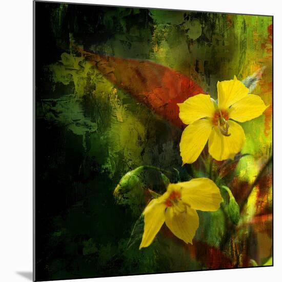 Tropical Ascent-Philippe Sainte-Laudy-Mounted Photographic Print