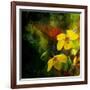 Tropical Ascent-Philippe Sainte-Laudy-Framed Photographic Print