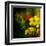 Tropical Ascent-Philippe Sainte-Laudy-Framed Premium Photographic Print