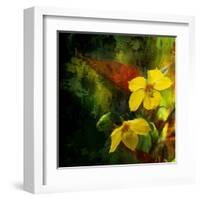 Tropical Ascent-Philippe Sainte-Laudy-Framed Premium Photographic Print