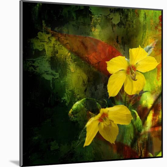 Tropical Ascent-Philippe Sainte-Laudy-Mounted Premium Photographic Print