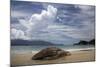 Tropical Bay III-Tony Koukos-Mounted Giclee Print