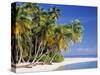 Tropical Beach and Palm Trees, Maldives, Indian Ocean-Danielle Gali-Stretched Canvas