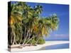 Tropical Beach and Palm Trees, Maldives, Indian Ocean-Danielle Gali-Stretched Canvas