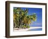 Tropical Beach and Palm Trees, Maldives, Indian Ocean-Danielle Gali-Framed Photographic Print