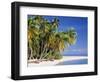 Tropical Beach and Palm Trees, Maldives, Indian Ocean-Danielle Gali-Framed Photographic Print