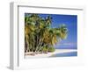 Tropical Beach and Palm Trees, Maldives, Indian Ocean-Danielle Gali-Framed Photographic Print