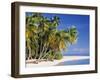 Tropical Beach and Palm Trees, Maldives, Indian Ocean-Danielle Gali-Framed Photographic Print