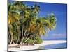 Tropical Beach and Palm Trees, Maldives, Indian Ocean-Danielle Gali-Mounted Photographic Print