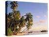 Tropical Beach and Palm Trees, Maldives, Indian Ocean-Danielle Gali-Stretched Canvas
