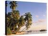 Tropical Beach and Palm Trees, Maldives, Indian Ocean-Danielle Gali-Stretched Canvas