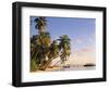 Tropical Beach and Palm Trees, Maldives, Indian Ocean-Danielle Gali-Framed Photographic Print