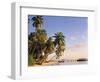 Tropical Beach and Palm Trees, Maldives, Indian Ocean-Danielle Gali-Framed Photographic Print