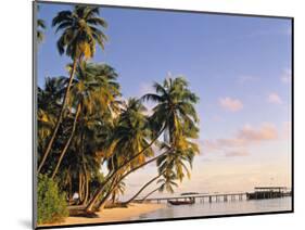 Tropical Beach and Palm Trees, Maldives, Indian Ocean-Danielle Gali-Mounted Photographic Print