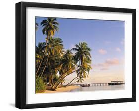 Tropical Beach and Palm Trees, Maldives, Indian Ocean-Danielle Gali-Framed Photographic Print