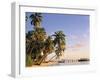 Tropical Beach and Palm Trees, Maldives, Indian Ocean-Danielle Gali-Framed Photographic Print