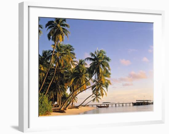 Tropical Beach and Palm Trees, Maldives, Indian Ocean-Danielle Gali-Framed Photographic Print