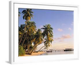 Tropical Beach and Palm Trees, Maldives, Indian Ocean-Danielle Gali-Framed Photographic Print