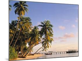 Tropical Beach and Palm Trees, Maldives, Indian Ocean-Danielle Gali-Mounted Photographic Print