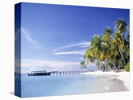 Tropical Beach and Palm Trees, Maldives, Indian Ocean-Danielle Gali-Stretched Canvas