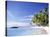 Tropical Beach and Palm Trees, Maldives, Indian Ocean-Danielle Gali-Stretched Canvas