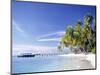 Tropical Beach and Palm Trees, Maldives, Indian Ocean-Danielle Gali-Mounted Photographic Print