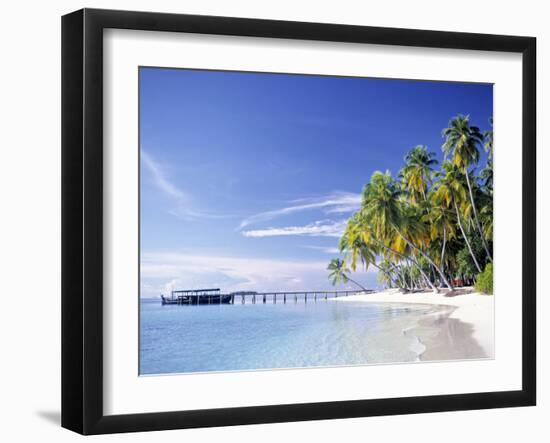 Tropical Beach and Palm Trees, Maldives, Indian Ocean-Danielle Gali-Framed Photographic Print