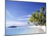 Tropical Beach and Palm Trees, Maldives, Indian Ocean-Danielle Gali-Mounted Photographic Print