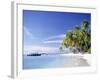 Tropical Beach and Palm Trees, Maldives, Indian Ocean-Danielle Gali-Framed Photographic Print